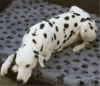 Bellepet - Hundedecke Deluxe / Pfötchen Muster