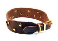 Bellepet Fettleder-Halsband "Pure Dots" - Messing