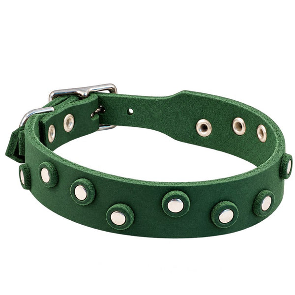 Fettleder-Halsband Pure Dots in Tannengrün mit runden Nieten, Ösen und Schnalle in Chrom