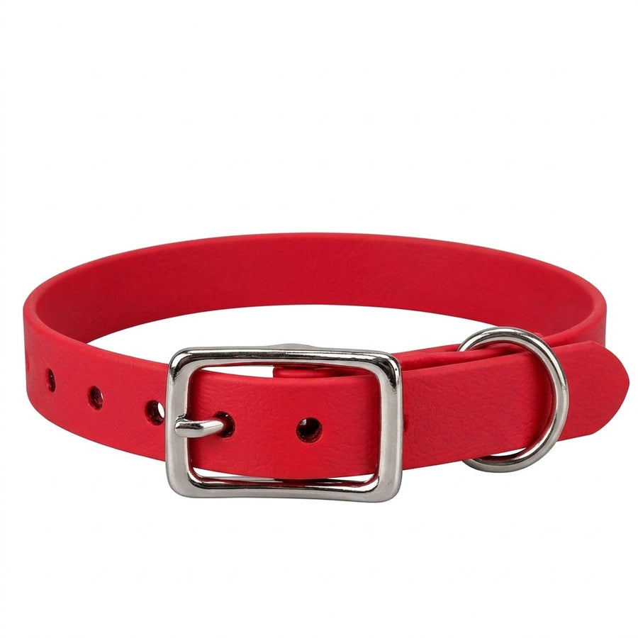 Biothane-Halsband in Rot mit rechteckiger Dornschnalle und D-Ring aus Chrom, Vorderansicht