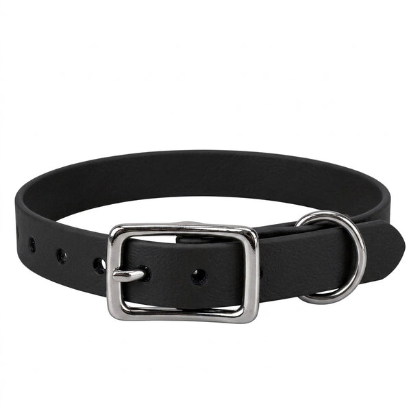 Biothane-Halsband in Schwarz mit rechteckiger Dornschnalle und D-Ring aus Chrom, Vorderansicht