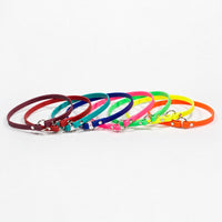 Leichtes Halsband Biothane – Produkt- & Detailansicht | Bellepet