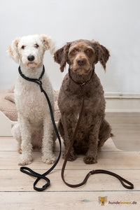 Bellepet Moxonleine / Retrieverleine / Schlupfleine aus Fettleder - Chrom