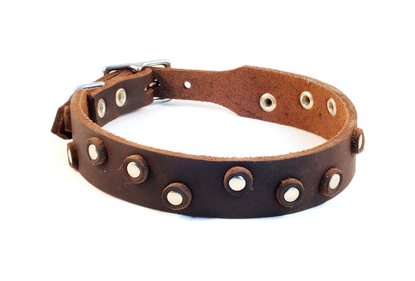 Bellepet Fettleder-Halsband "Pure Dots" - Chrom