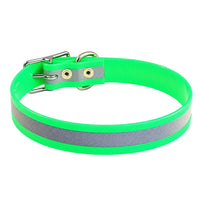 Rückansicht: Biothane-Halsband Reflex in Neon-Grün mit vernieteter Schnallenlasche und D-Ring