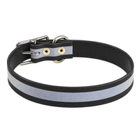 Rückansicht: Biothane-Halsband Reflex in Schwarz mit vernieteter Schnallenlasche und D-Ring