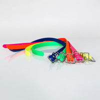 Biothane-Halsband – Produkt- & Detailansicht | Bellepet