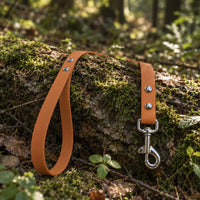 Biothane-Schleppleine mit Handschlaufe in Hellbraun mit Chrom-Karabiner auf bemoostem Baumstamm im Wald