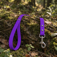 Biothane-Schleppleine mit Handschlaufe in Lila mit Chrom-Karabiner auf bemoostem Baumstamm im Wald