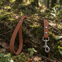 Biothane-Schleppleine mit Handschlaufe in Mittelbraun mit Chrom-Karabiner auf bemoostem Baumstamm im Wald