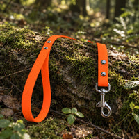 Biothane-Schleppleine mit Handschlaufe in Neonorange mit Chrom-Karabiner auf bemoostem Baumstamm im Wald