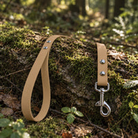 Biothane-Schleppleine mit Handschlaufe in Tan mit Chrom-Karabiner auf bemoostem Baumstamm im Wald