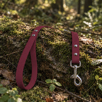 Biothane-Schleppleine mit Handschlaufe in Bordeaux mit Edelstahl-Karabiner auf bemoostem Baumstamm im Wald