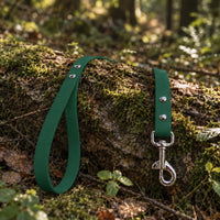 Biothane-Schleppleine mit Handschlaufe in Dunkelgrün mit Edelstahl-Karabiner auf bemoostem Baumstamm im Wald