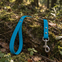 Biothane-Schleppleine mit Handschlaufe in Petrol mit Edelstahl-Karabiner auf bemoostem Baumstamm im Wald