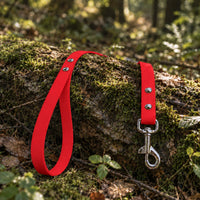 Biothane-Schleppleine mit Handschlaufe in Rot mit Edelstahl-Karabiner auf bemoostem Baumstamm im Wald