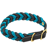 Geflochtenes Fettleder-Halsband in Schwarz und Türkis, Schnalle und D-Ring in Messing