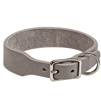 Fettleder-Halsband Pure Basic in Grau, Dornschnalle und D-Ring in Chrom