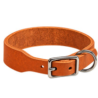 Fettleder-Halsband Pure Basic in Orange, Dornschnalle und D-Ring in Chrom