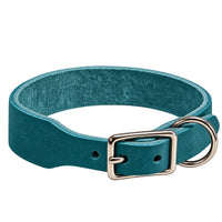 Fettleder-Halsband Pure Basic in Türkis, Dornschnalle und D-Ring in Chrom