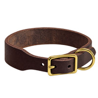 Fettleder-Halsband Pure Basic in Dunkelbraun, Dornschnalle und D-Ring in Messing