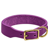 Fettleder-Halsband Pure Basic in Lila, Dornschnalle und D-Ring in Messing