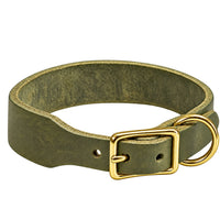 Fettleder-Halsband Pure Basic in Olivgrün, Dornschnalle und D-Ring in Messing