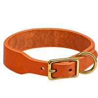 Fettleder-Halsband Pure Basic in Orange, Dornschnalle und D-Ring in Messing