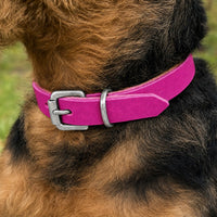 Hund mit drahtigem schwarz-braunem Fell trägt Halsband Pure Basic in Pink mit Schnalle in Chrom
