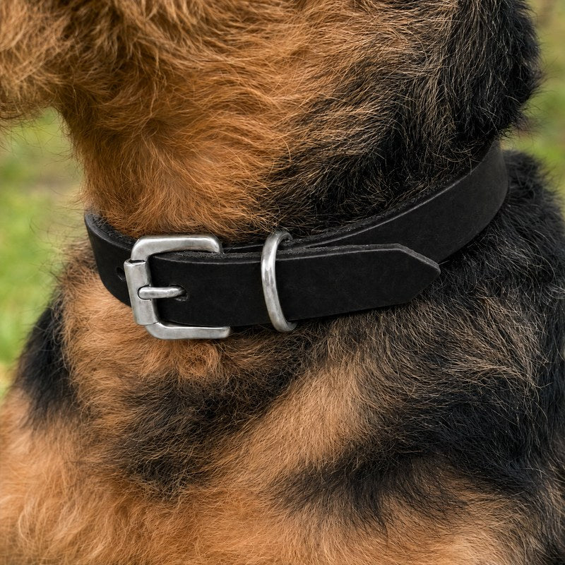 Bellepet Fettleder-Halsband „Pure Basic“