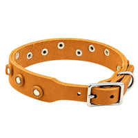 Fettleder-Halsband Pure Dots in Cognac, Schnallenseite mit D-Ring, Ösen und Nieten in Chrom
