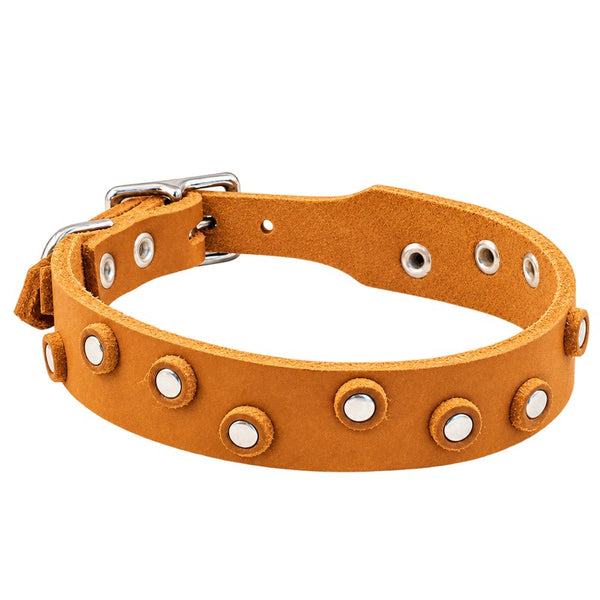 Fettleder-Halsband Pure Dots in Cognac mit runden Nieten, Ösen und Schnalle in Chrom