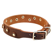 Fettleder-Halsband Pure Dots in Dunkelbraun, Schnallenseite mit D-Ring, Ösen und Nieten in Chrom