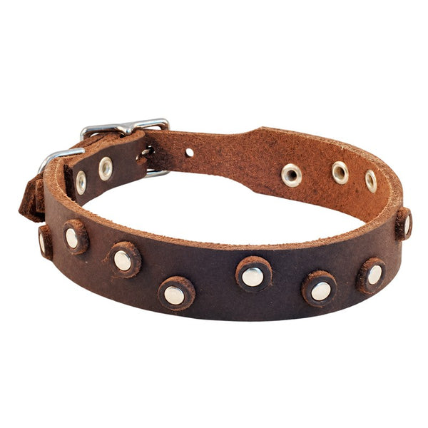 Bellepet Fettleder-Halsband „Pure Dots“