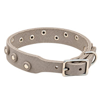 Fettleder-Halsband Pure Dots in Grau, Schnallenseite mit D-Ring, Ösen und Nieten in Chrom