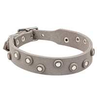 Fettleder-Halsband Pure Dots in Grau mit runden Nieten, Ösen und Schnalle in Chrom