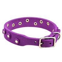 Fettleder-Halsband Pure Dots in Lila, Schnallenseite mit D-Ring, Ösen und Nieten in Chrom