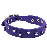 Fettleder-Halsband Pure Dots in Indigoblau mit runden Nieten, Ösen und Schnalle in Chrom