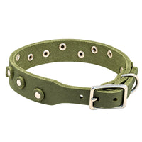 Fettleder-Halsband Pure Dots in Olivgrün, Schnallenseite mit D-Ring, Ösen und Nieten in Chrom