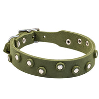 Fettleder-Halsband Pure Dots in Olivgrün mit runden Nieten, Ösen und Schnalle in Chrom