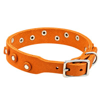 Fettleder-Halsband Pure Dots in Orange, Schnallenseite mit D-Ring, Ösen und Nieten in Chrom