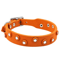 Fettleder-Halsband Pure Dots in Orange mit runden Nieten, Ösen und Schnalle in Chrom