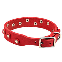 Fettleder-Halsband Pure Dots in Rot, Schnallenseite mit D-Ring, Ösen und Nieten in Chrom