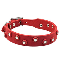 Fettleder-Halsband Pure Dots in Rot mit runden Nieten, Ösen und Schnalle in Chrom