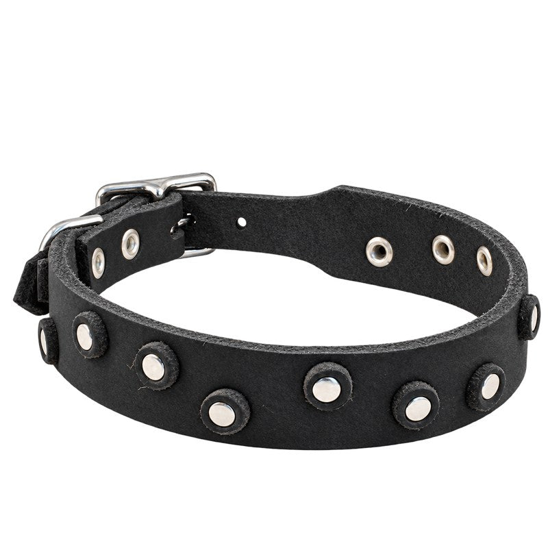 Fettleder-Halsband Pure Dots in Schwarz mit runden Nieten, Ösen und Schnalle in Chrom