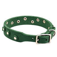 Fettleder-Halsband Pure Dots in Tannengrün, Schnallenseite mit D-Ring, Ösen und Nieten in Chrom