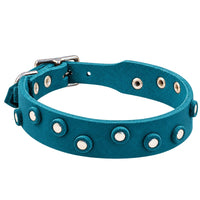 Fettleder-Halsband Pure Dots in Türkis mit runden Nieten, Ösen und Schnalle in Chrom