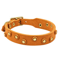 Fettleder-Halsband Pure Dots in Cognac mit runden Nieten, Ösen und Schnalle in Messing