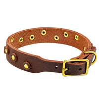 Fettleder-Halsband Pure Dots in Dunkelbraun, Schnallenseite mit D-Ring, Ösen und Nieten in Messing