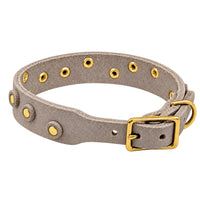 Fettleder-Halsband Pure Dots in Grau, Schnallenseite mit D-Ring, Ösen und Nieten in Messing